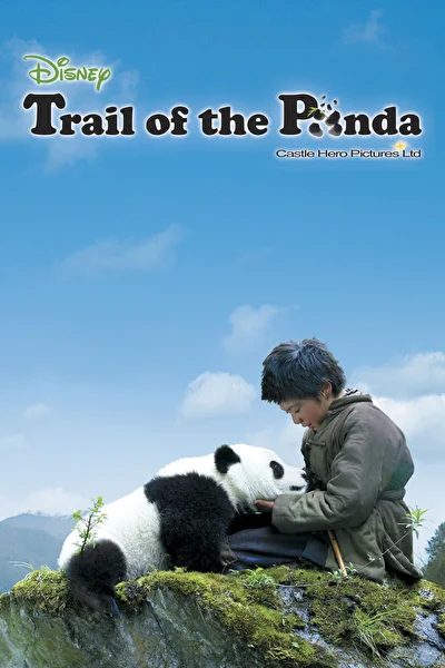 Постер к След панды (2009)